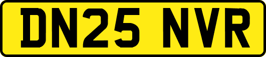DN25NVR