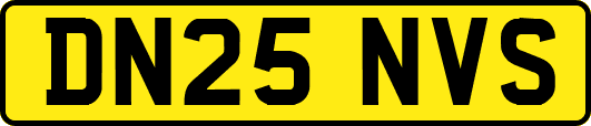 DN25NVS