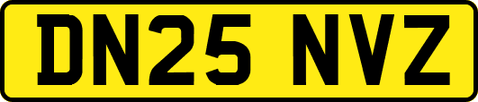 DN25NVZ