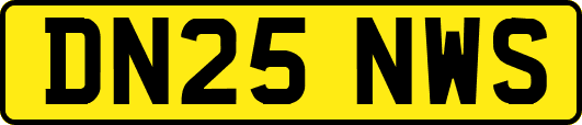 DN25NWS