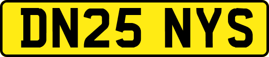 DN25NYS
