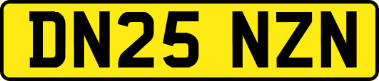 DN25NZN