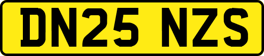 DN25NZS