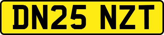 DN25NZT