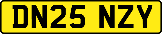 DN25NZY