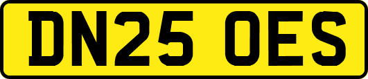DN25OES