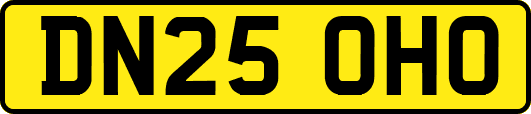 DN25OHO