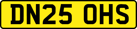 DN25OHS