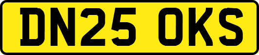 DN25OKS