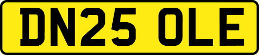 DN25OLE