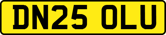 DN25OLU