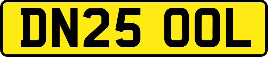 DN25OOL