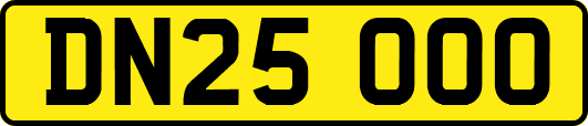 DN25OOO