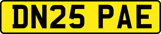 DN25PAE