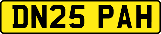 DN25PAH