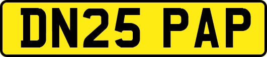 DN25PAP