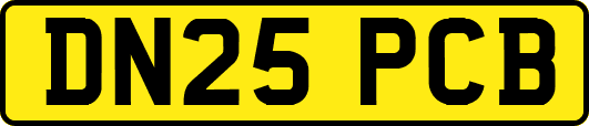 DN25PCB