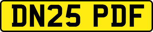 DN25PDF
