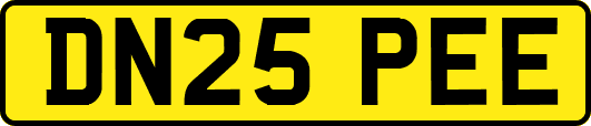 DN25PEE