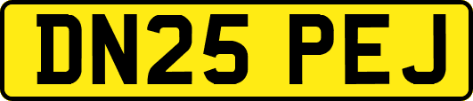 DN25PEJ