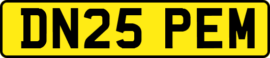 DN25PEM