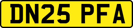 DN25PFA
