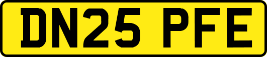 DN25PFE