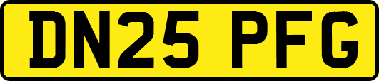 DN25PFG