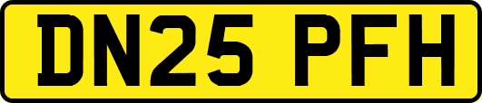 DN25PFH