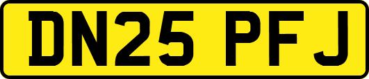 DN25PFJ
