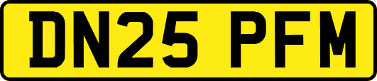 DN25PFM