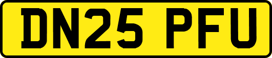 DN25PFU