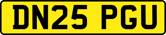 DN25PGU