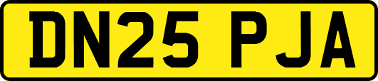 DN25PJA