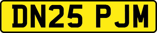 DN25PJM