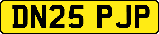 DN25PJP