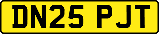 DN25PJT