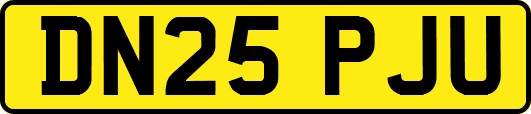 DN25PJU