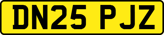DN25PJZ