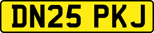 DN25PKJ
