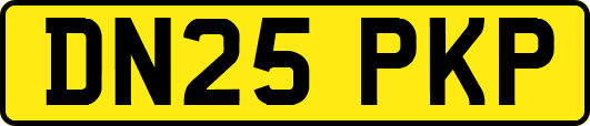 DN25PKP