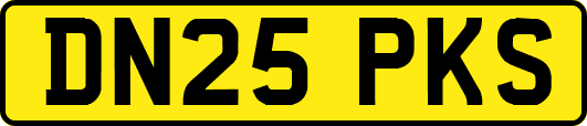 DN25PKS