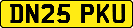 DN25PKU