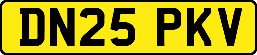 DN25PKV