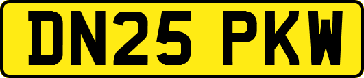 DN25PKW