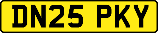 DN25PKY
