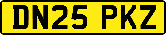 DN25PKZ