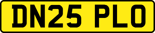 DN25PLO