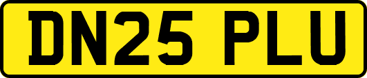 DN25PLU