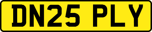 DN25PLY